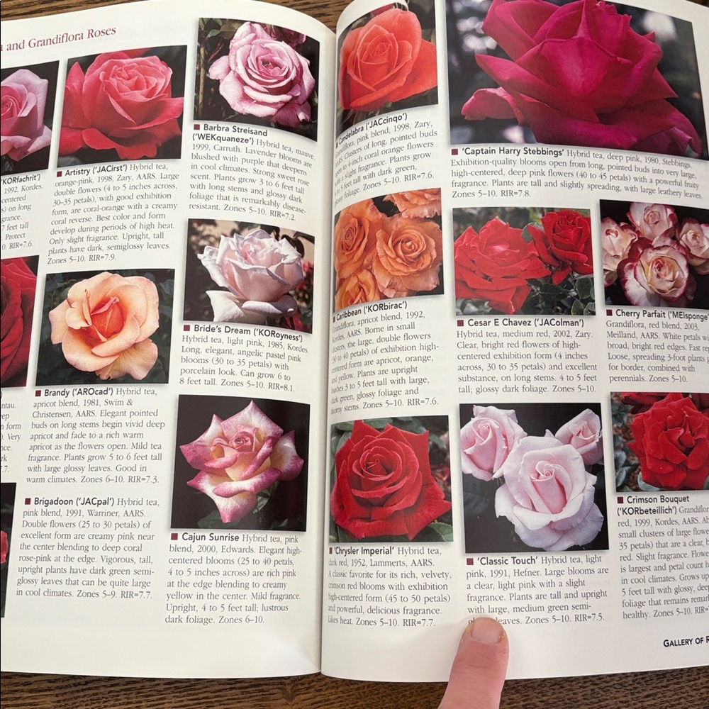 Complete Guide to Roses Paperback Book - Picture 4 of 4